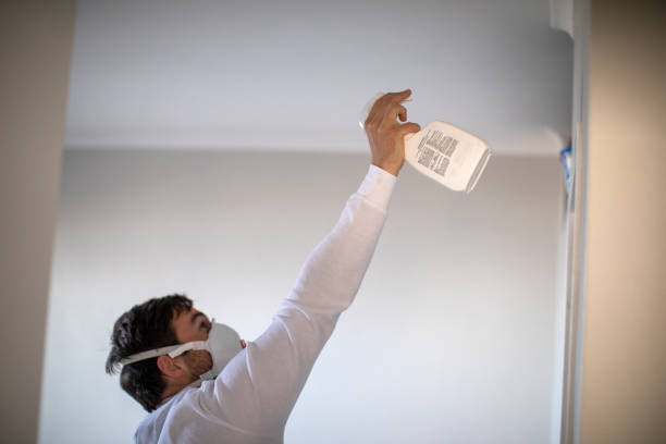 Best Affordable Mold Removal  in Valley View, OH
